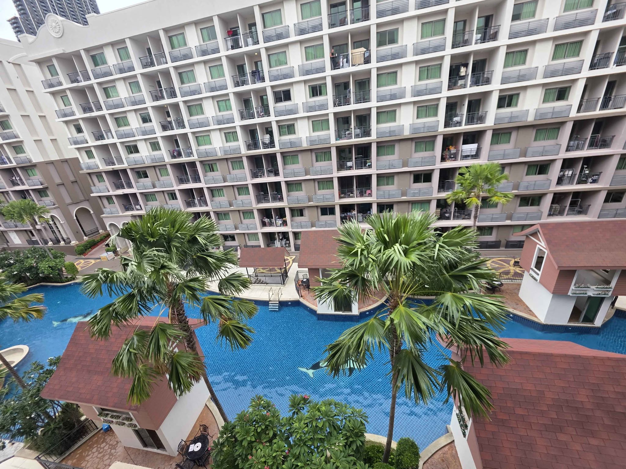 1 Bedroom Condo for rent at Arcadia Beach Continental