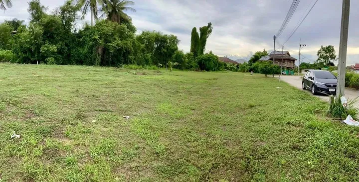 Land for sale in Pong