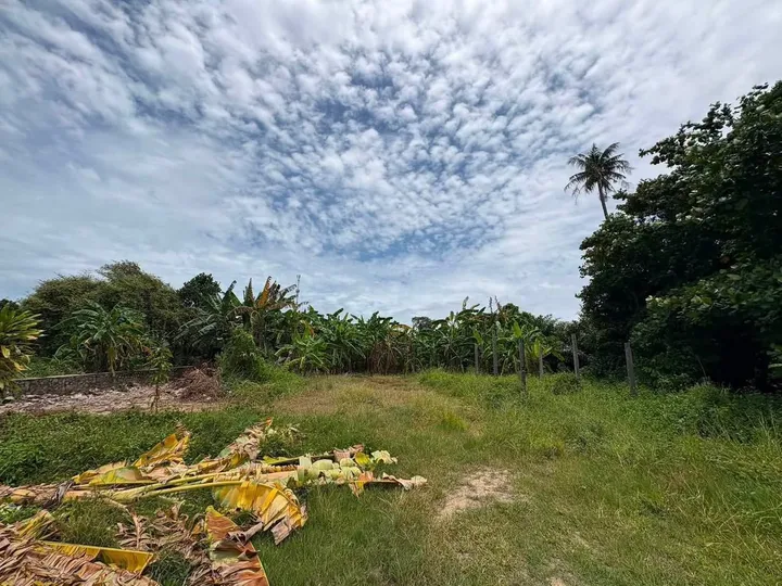 Land for sale in Nong Ket Noi