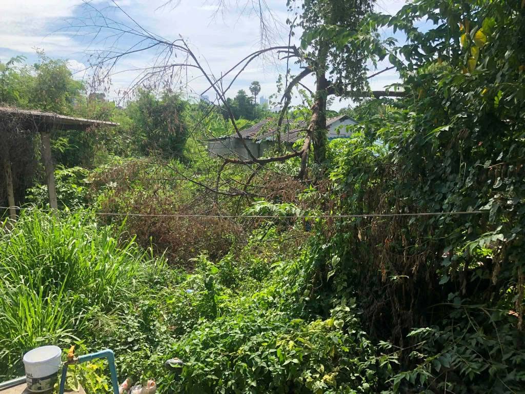 Land for sale in Chaiyapruek 2
