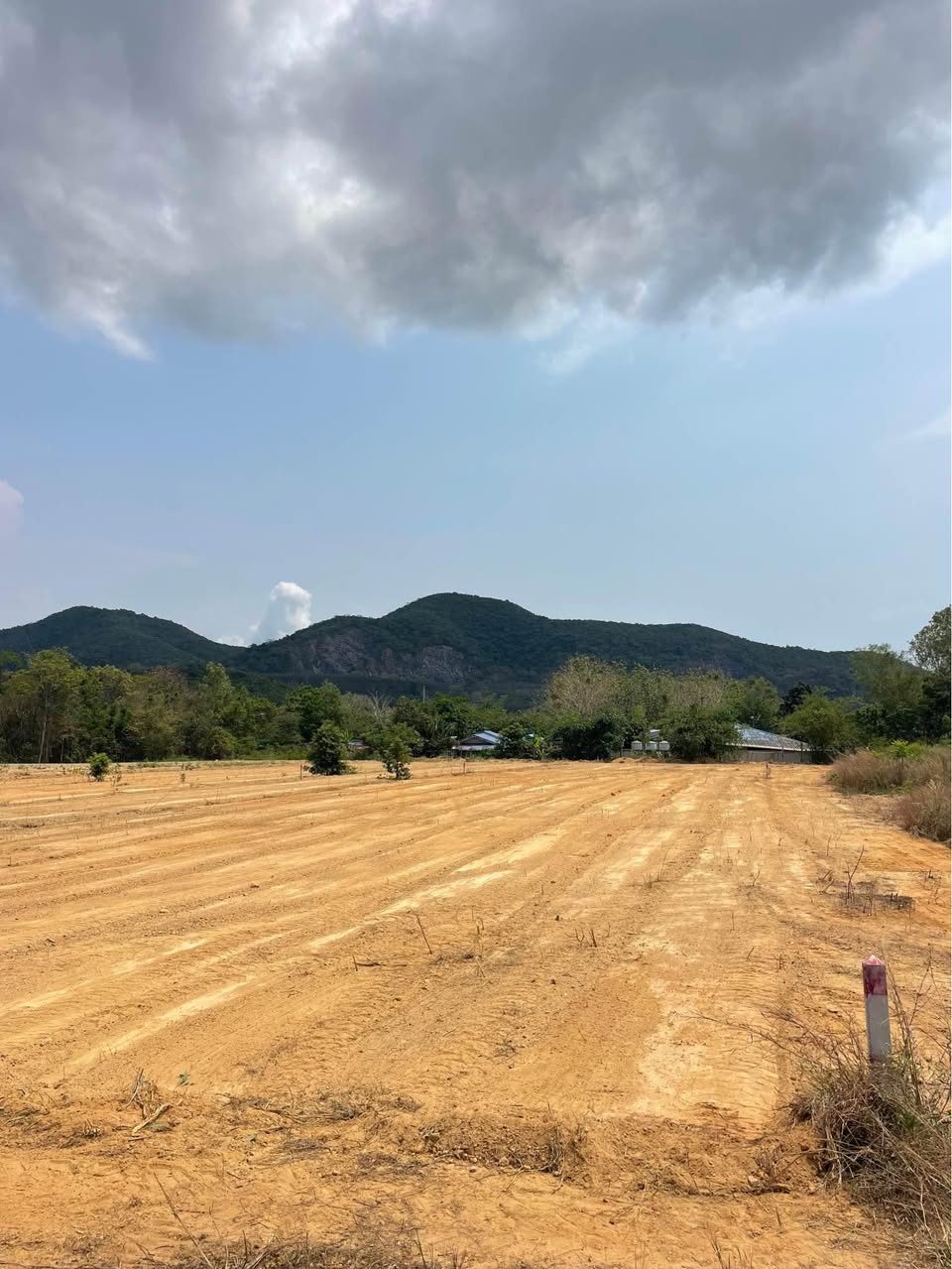 Land for sale in Sattahip