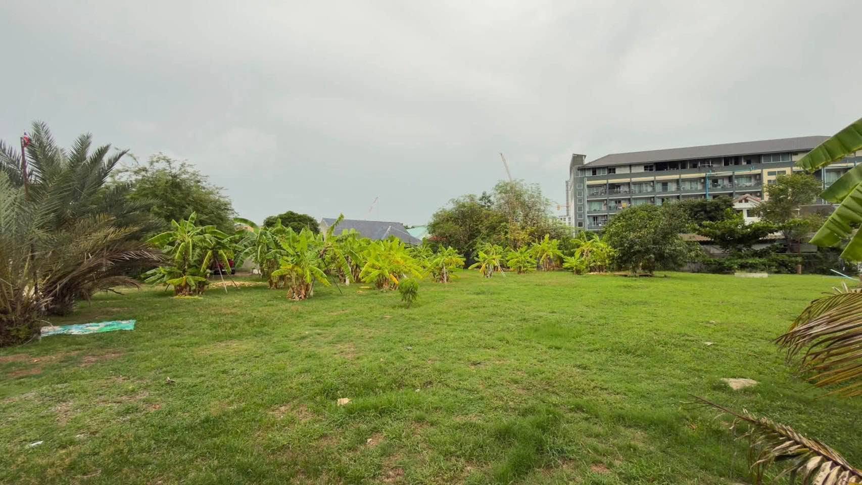 Land for sale in Walking Street