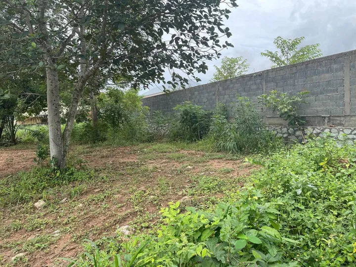 Land for sale in Mabprachan