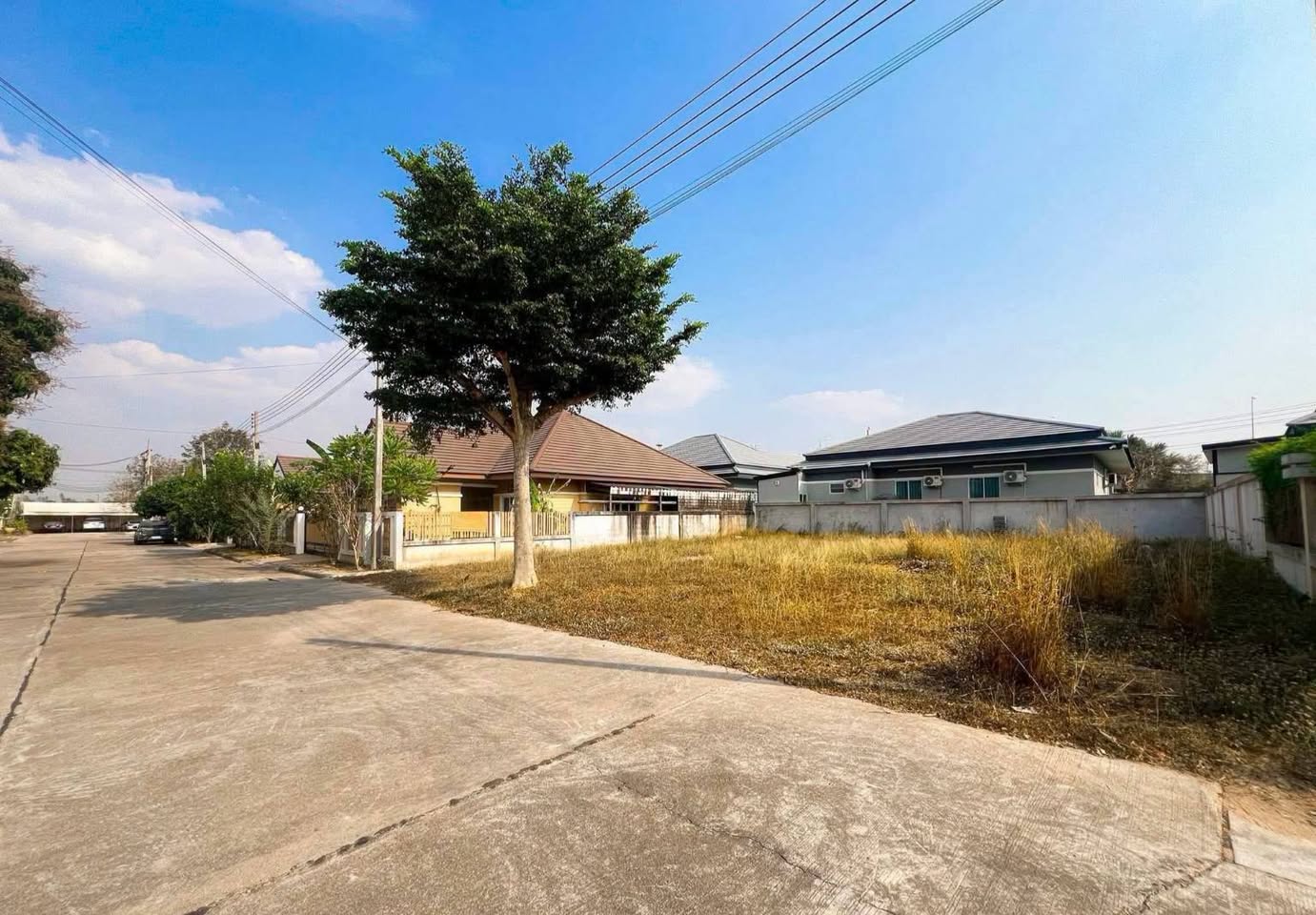 Land for sale in Nong Prue
