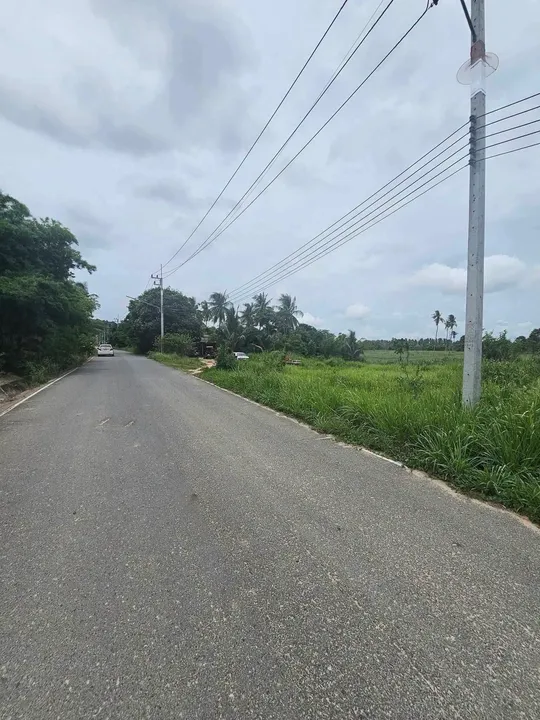 Land for sale in Pong