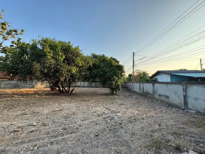 Land for sale in Nong Prue