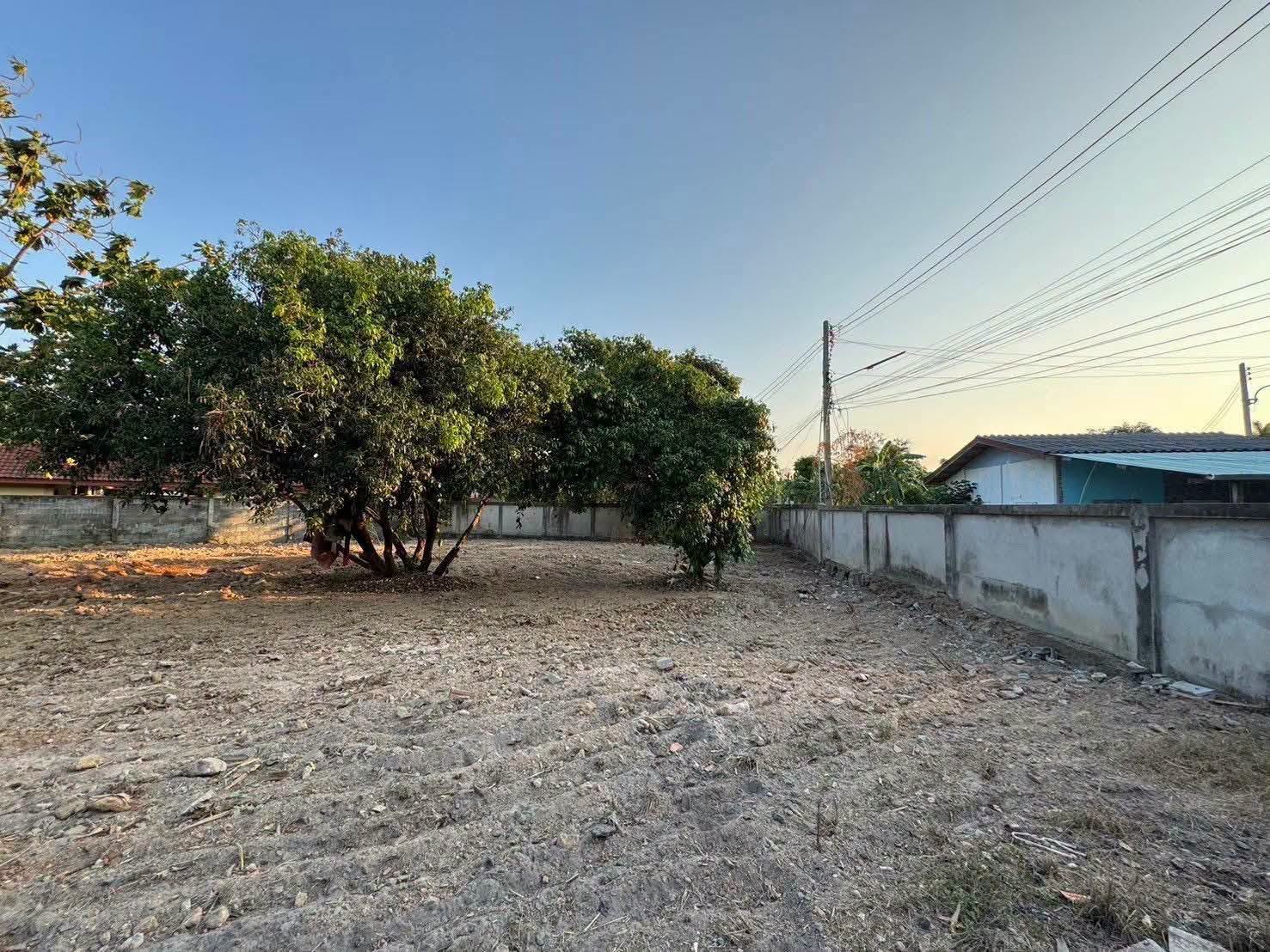 Land for sale in Khao Noi