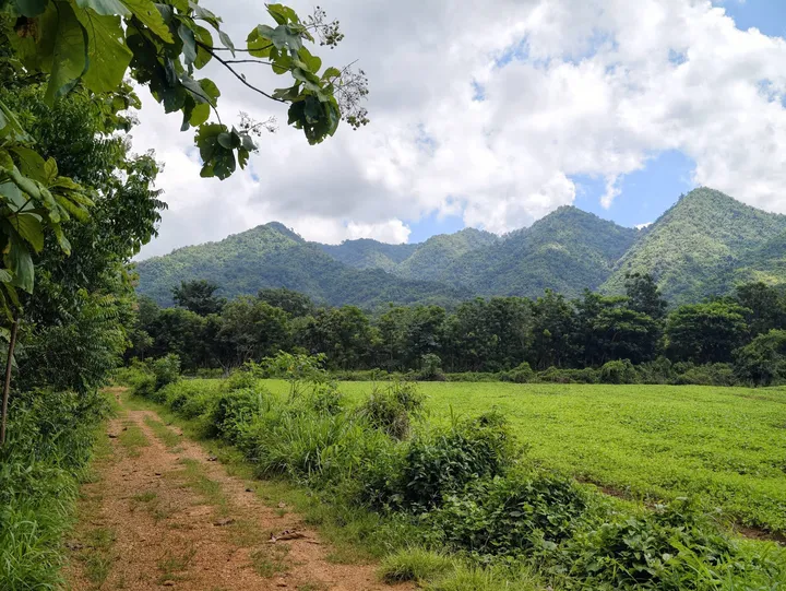 Land for sale in Huai Yai