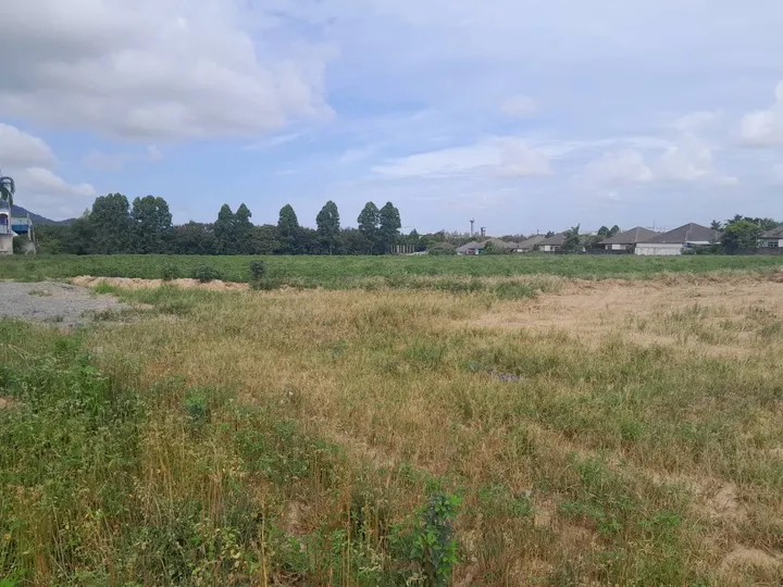 Land for sale in บางละมุง, ชลบุรี