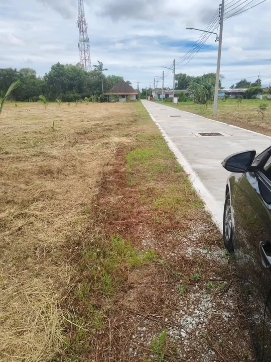 Land for sale in Chaiyapruek - Nong Yai