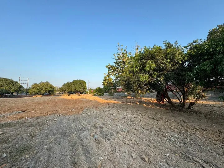 Land for sale in Bang Lamung