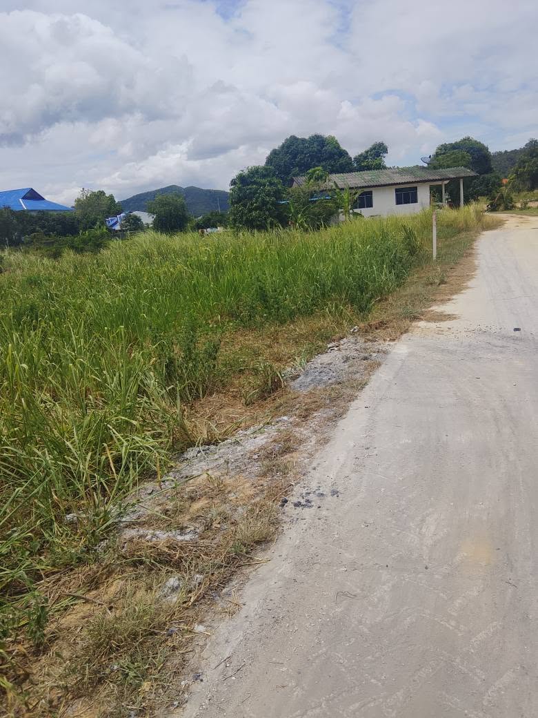 Land for sale in Sattahip