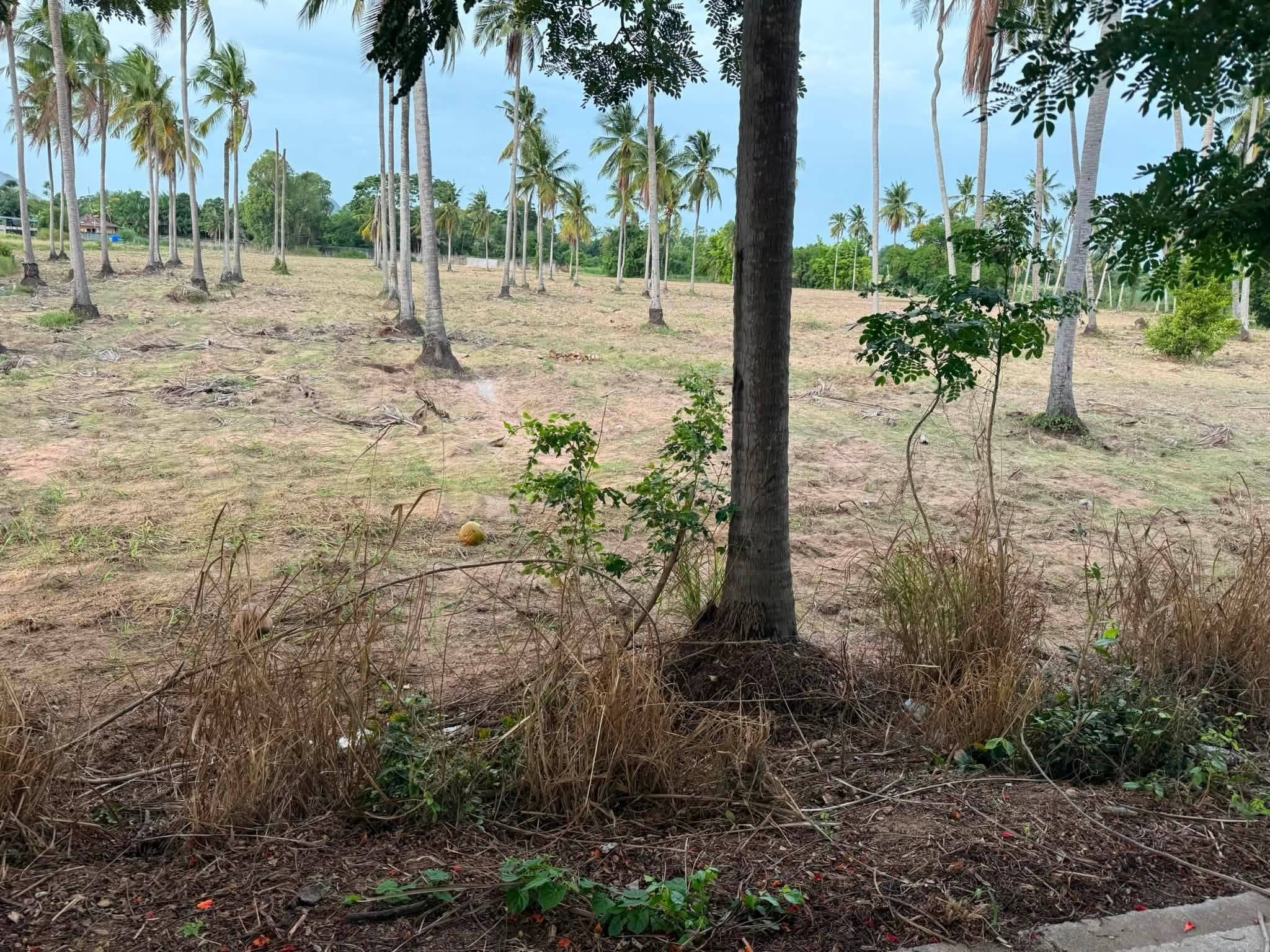 Land for sale in Huai Yai
