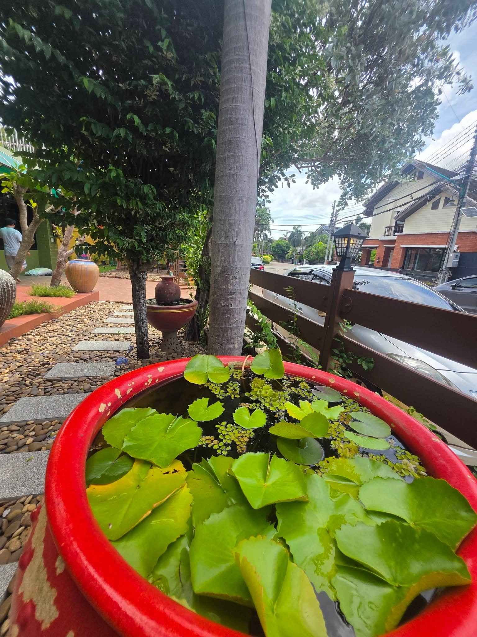 4 Bedroom House for rent in Nong Prue