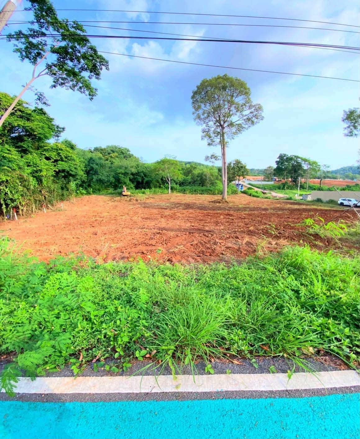 Land for sale in Silver Lake