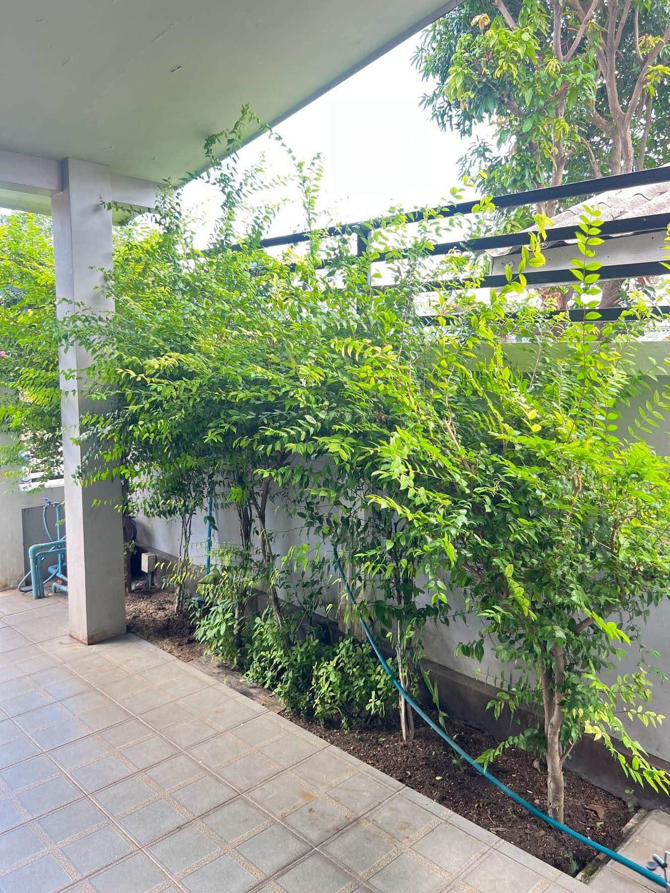 2 Bedroom Townhouse for sale in Nong Ket Yai