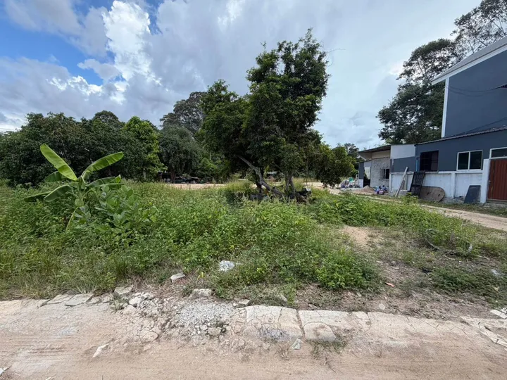Land for sale in Nong Pla Lai