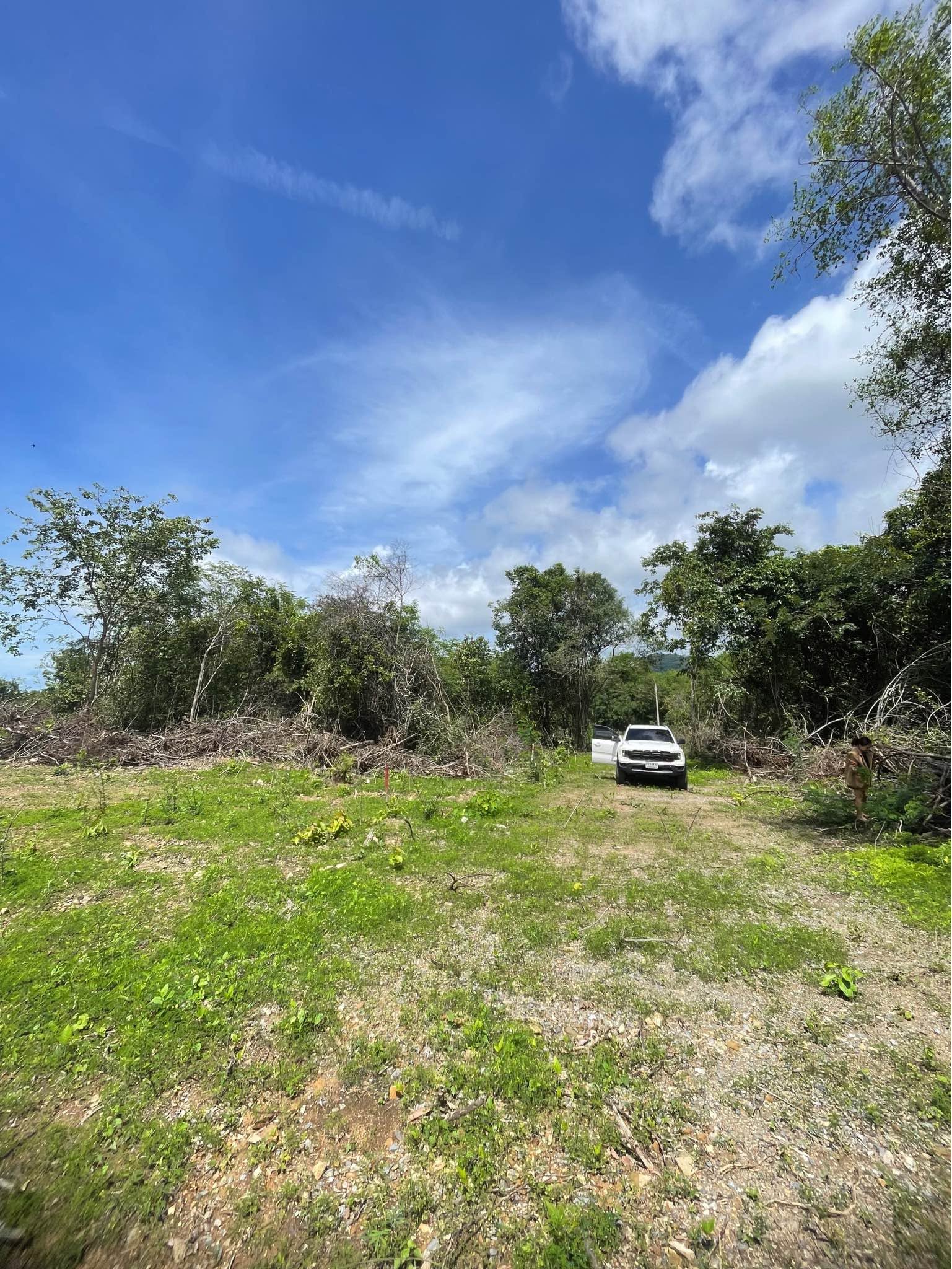 Land for sale in Sattahip