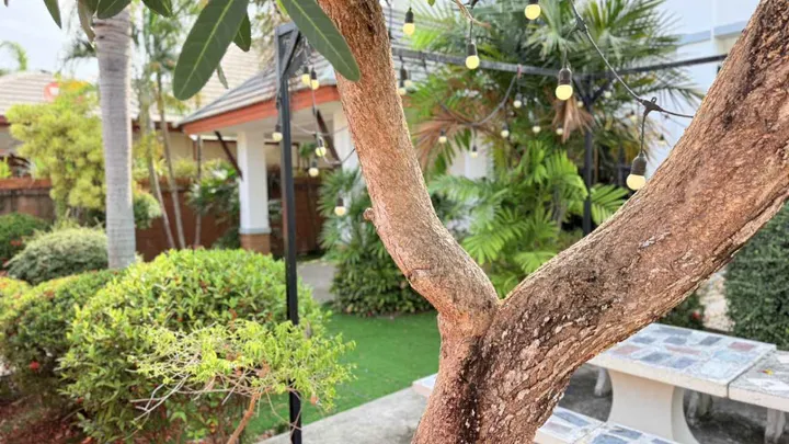 4 Bedroom House for rent in Bang Lamung