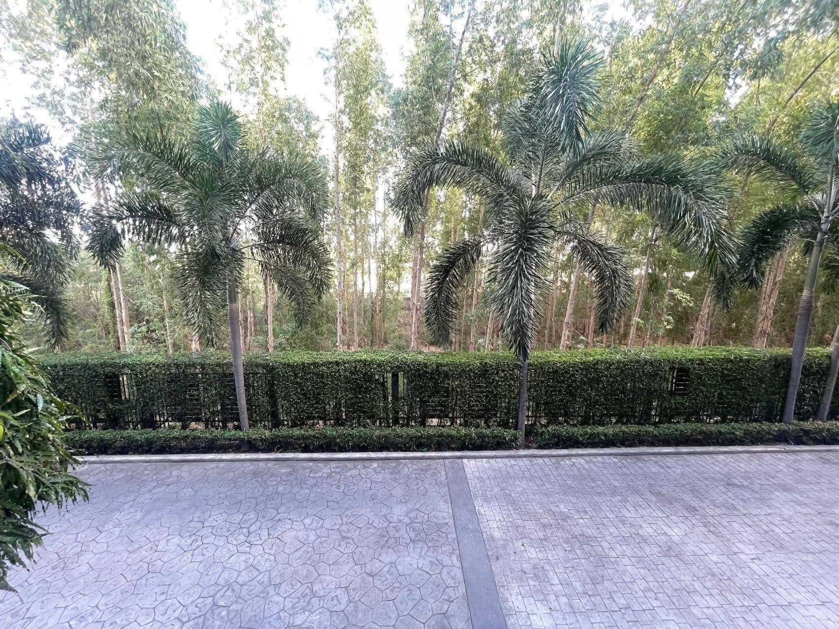 Studio for rent at Dusit Grand Park 1