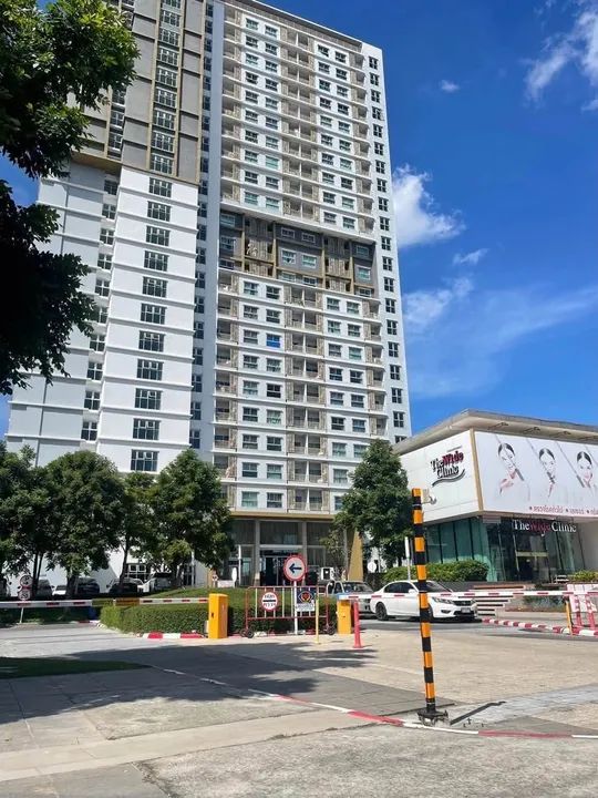 1 Bedroom Condo for rent at The Trust