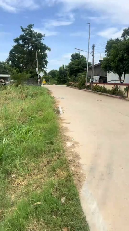 Land for sale in Nong Ket Yai