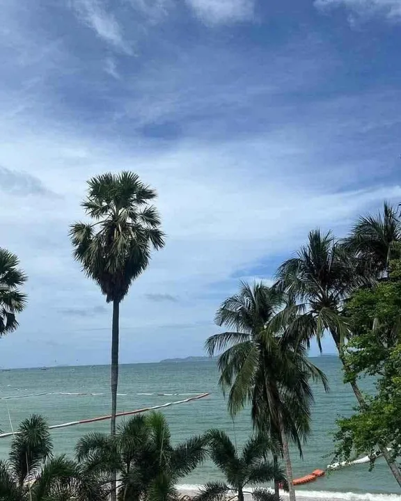 Photo from a listing at Saranchol