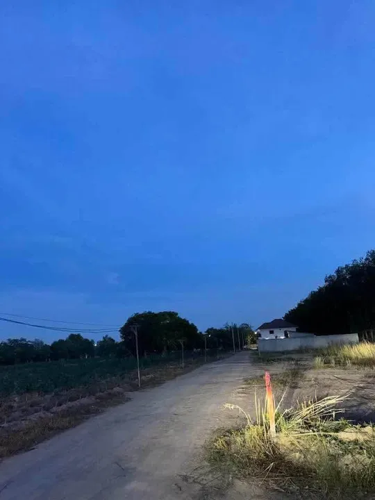 Land for sale in Toongklom Tanman