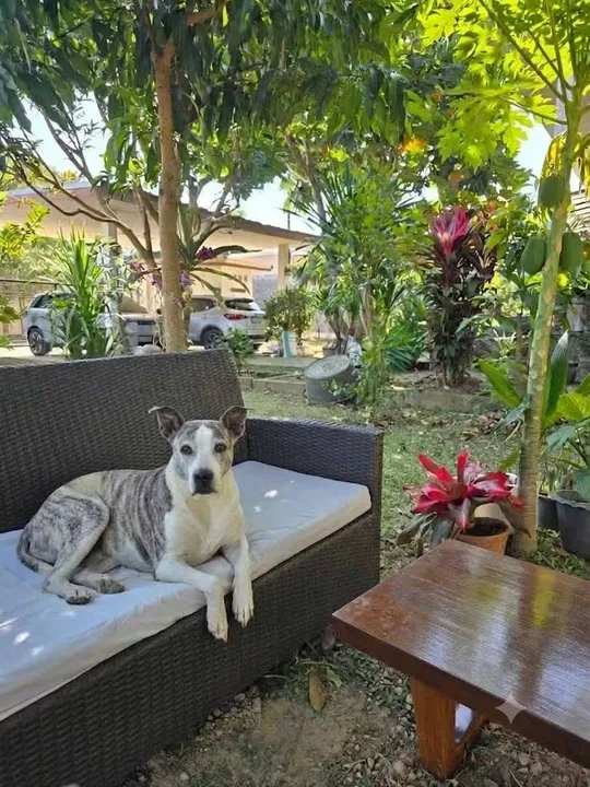 3 Bedroom House for sale in Sattahip
