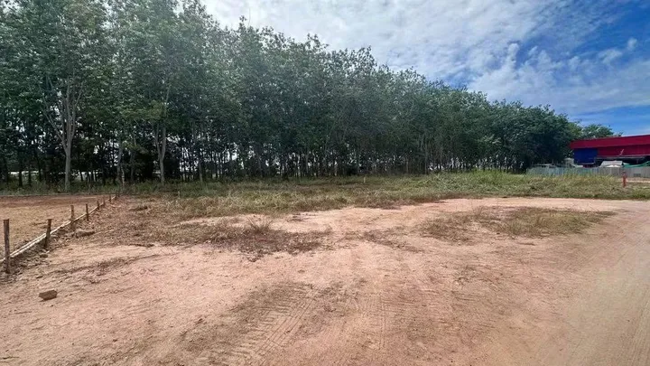 Land for sale in Toongklom Tanman
