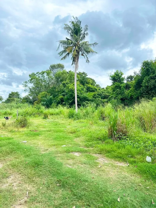 Land for sale in Takhian Tia