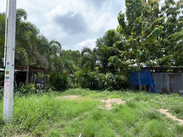 Land for sale in North Pattaya