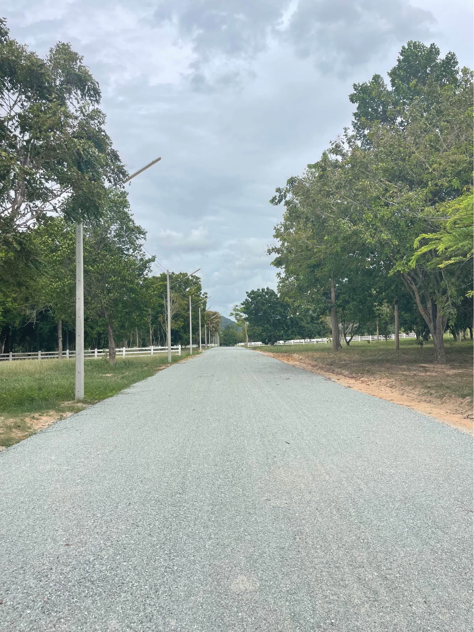 Land for sale in Khao Chi Chan