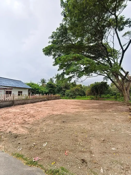 Land for sale in Takhian Tia