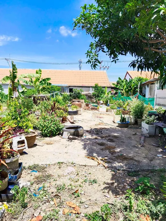 Land for sale in Nong Prue