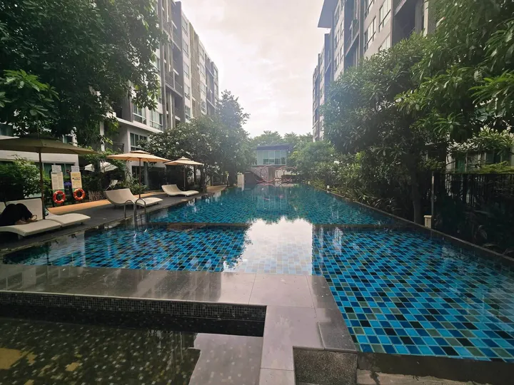 Photo from a listing at Natureza
