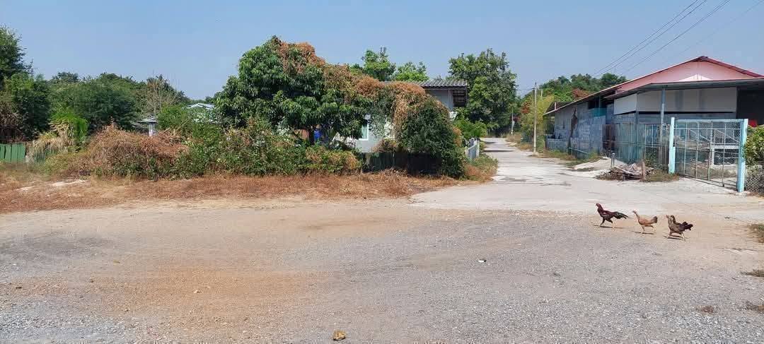 Land for sale in Chaiyapruek