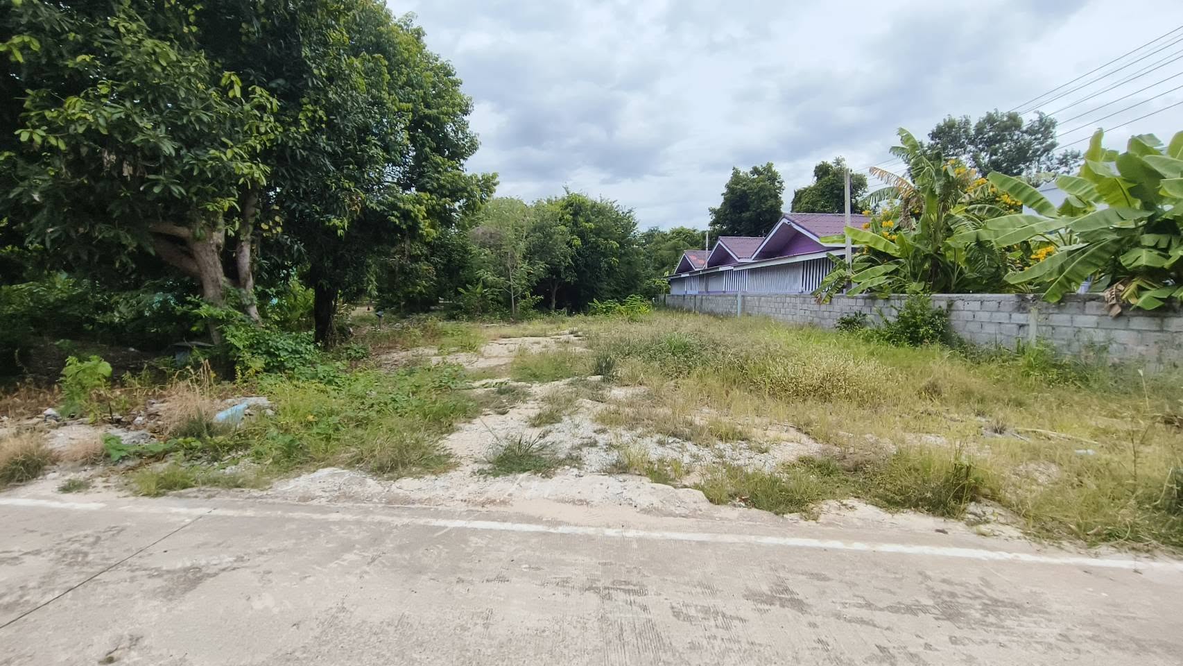Land for sale in Nong Prue