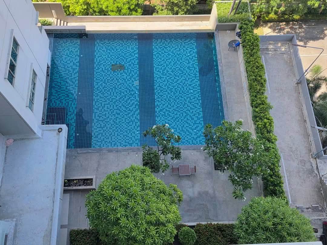 1 Bedroom Condo for rent at Acadia Beach Continental