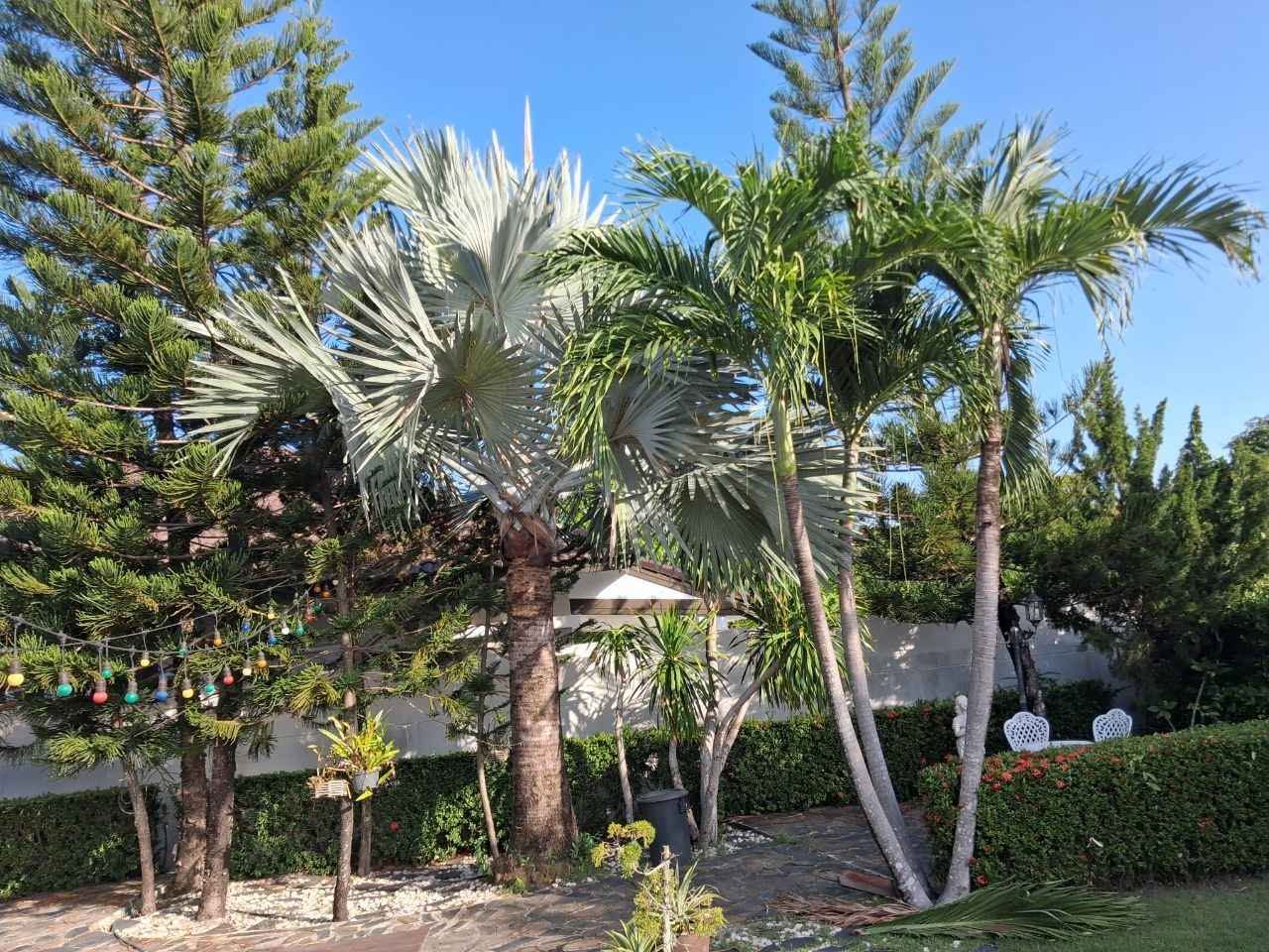 3 Bedroom House for rent in Huai Yai