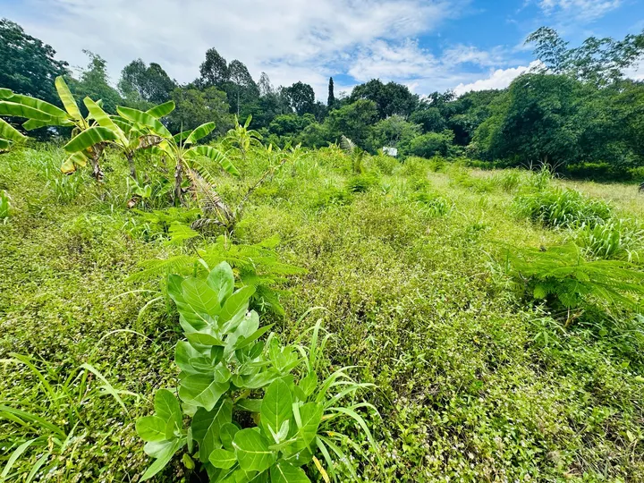 Land for sale in Huai Yai