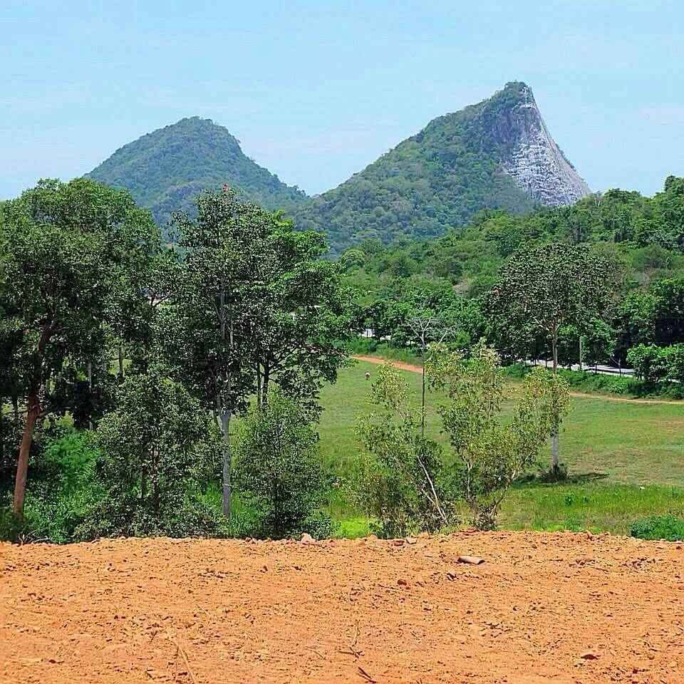 Land for sale in Sattahip