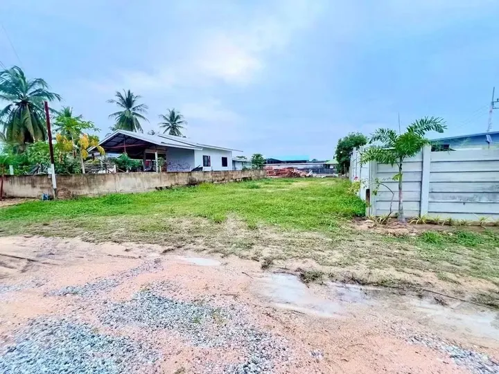 Land for sale in Pong