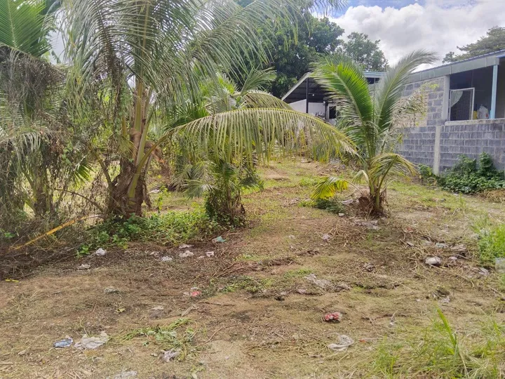 Land for sale in Pong
