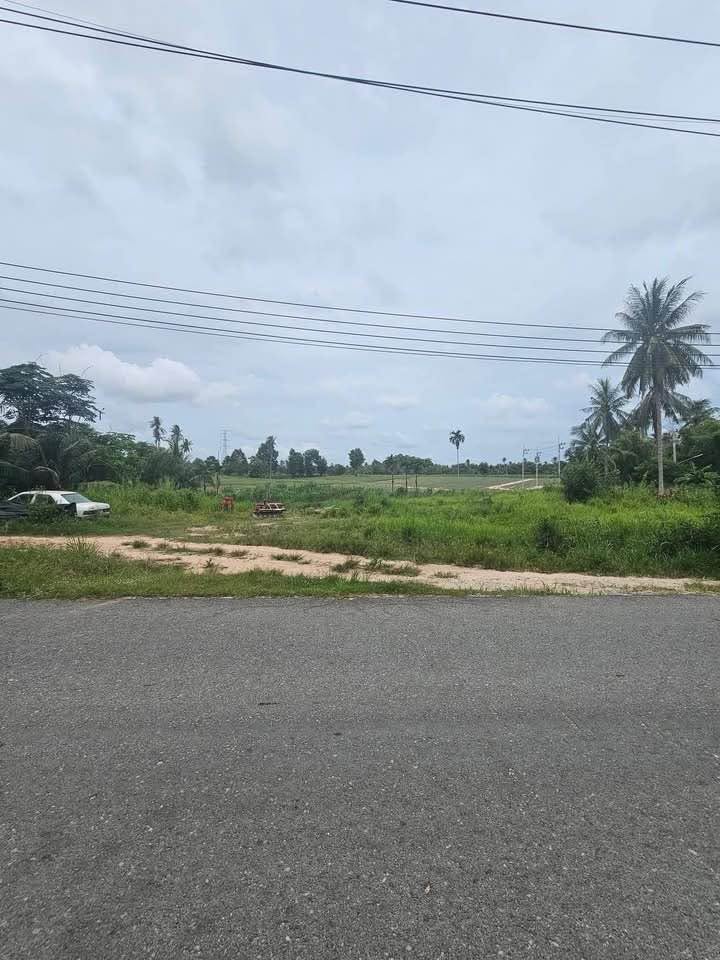 Land for sale in Pong
