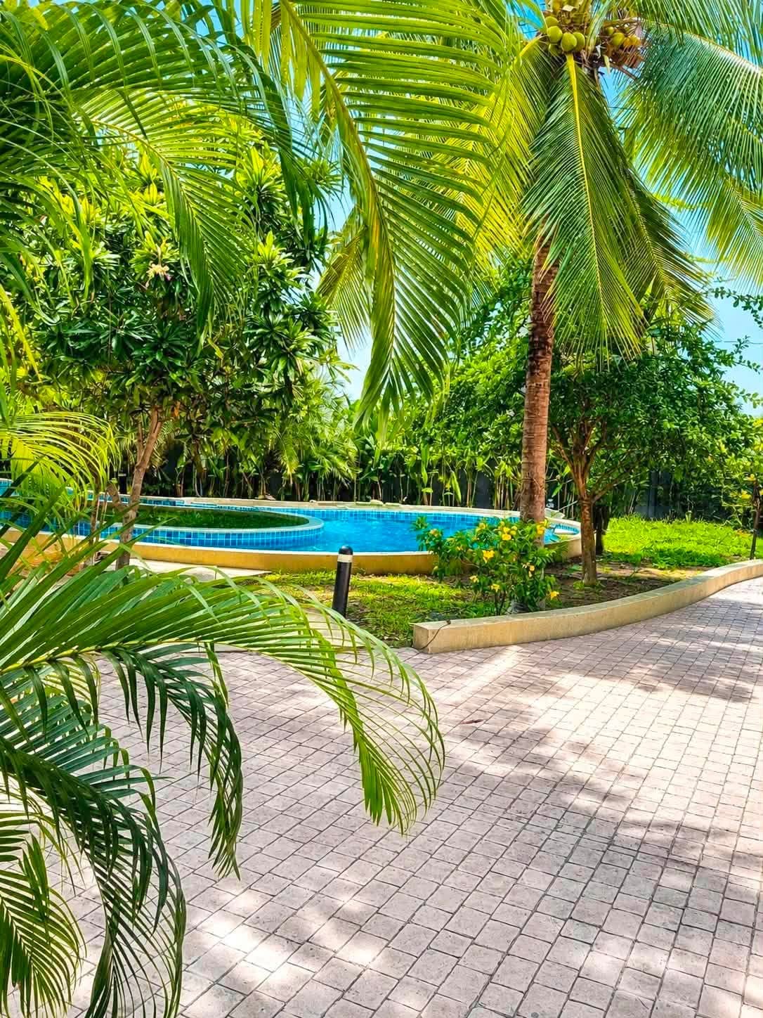 1 Bedroom Condo for rent at Arcadia Beach Resort