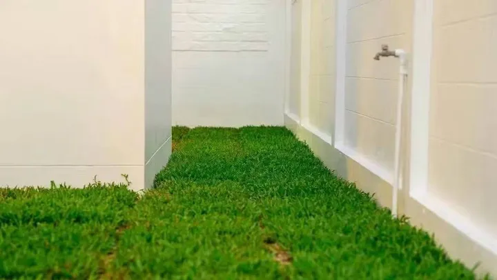 3 Bedroom House for sale in Soi Siam