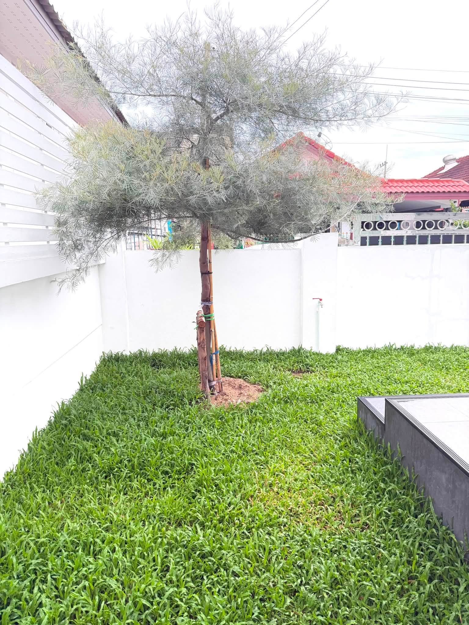 3 Bedroom House for sale at Rattanagorn Village 5
