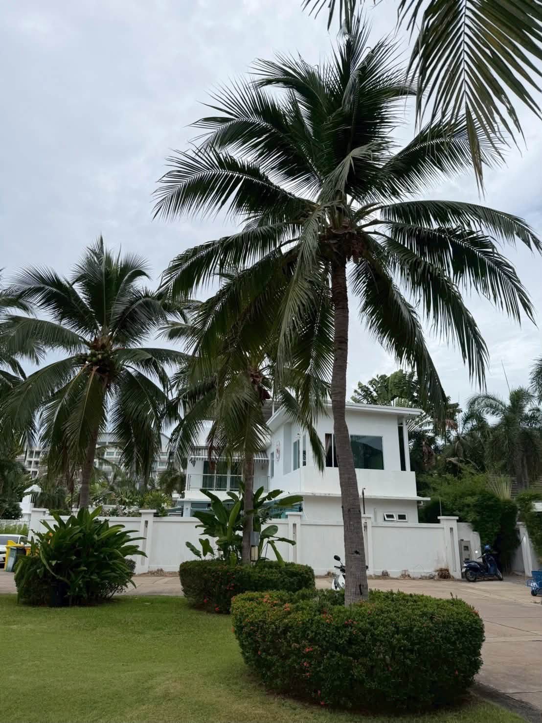 5 Bedroom Villa for sale at Plam Oasia