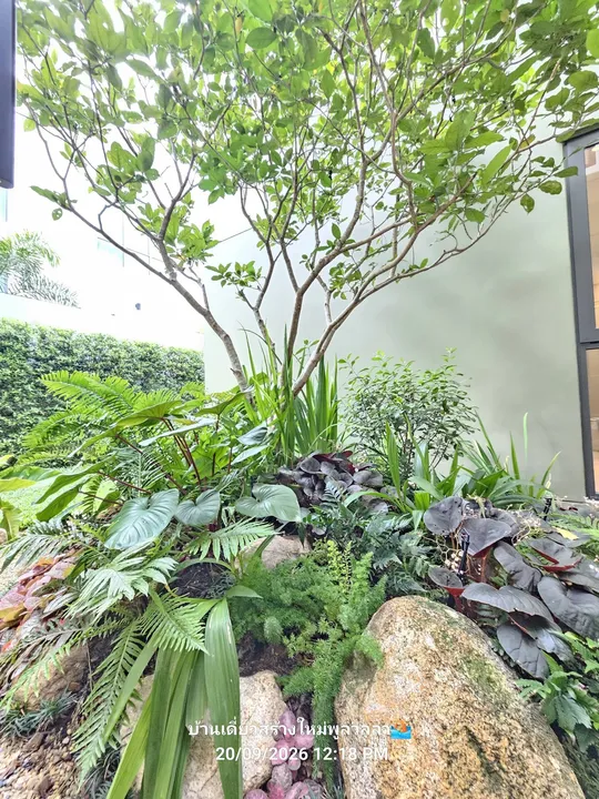 4 Bedroom Villa for sale in Chak Nok